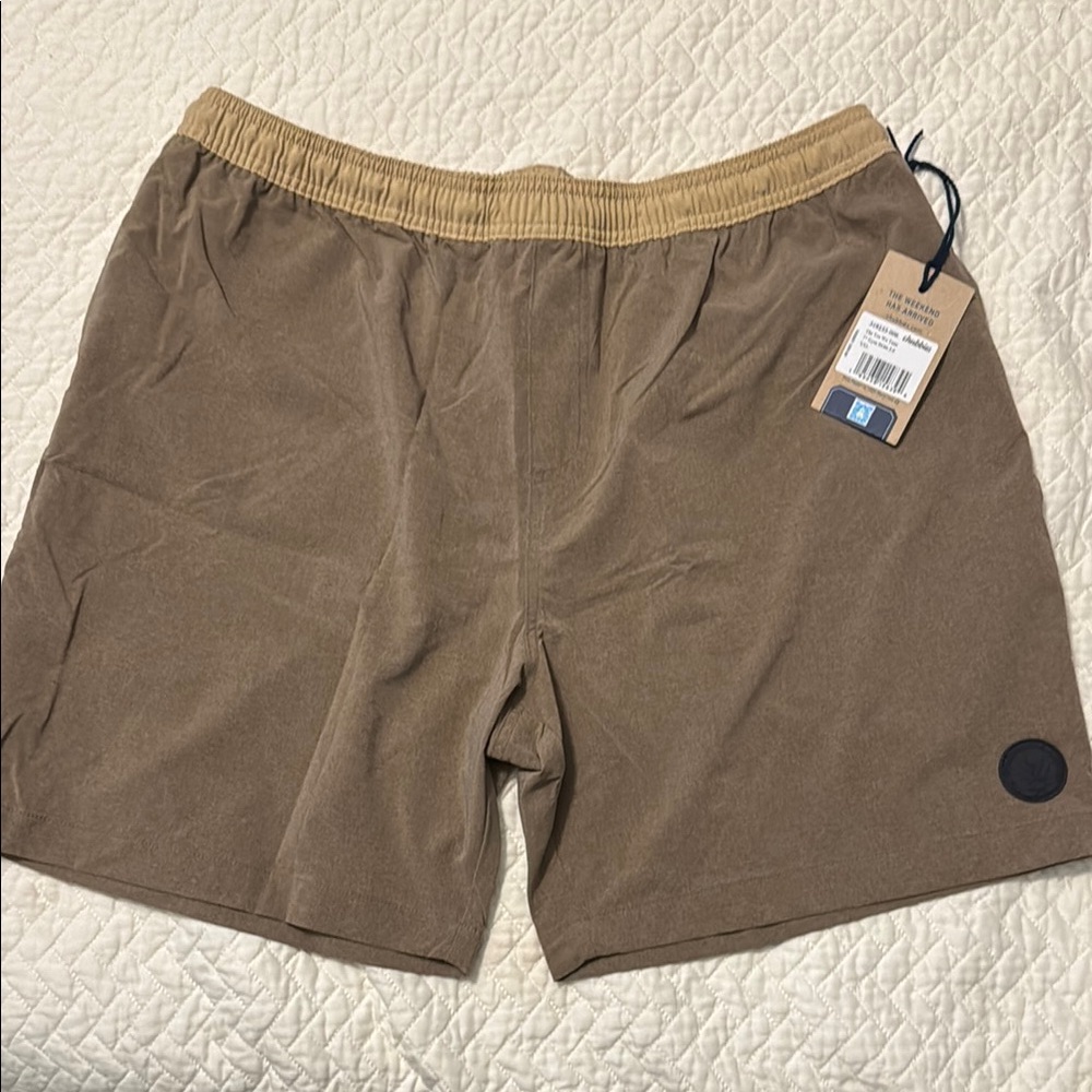 Men's XXL Chubbies Swim